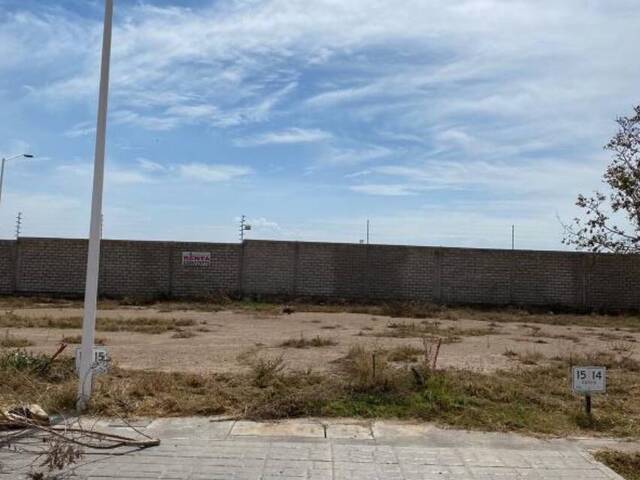 Área para Venta en Zapopan - 5