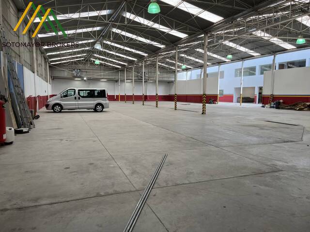 Bodega para Renta en Zapopan - 4